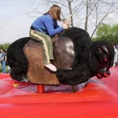 rodeo bizon